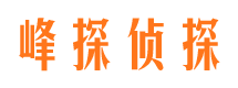 武宣市私家侦探